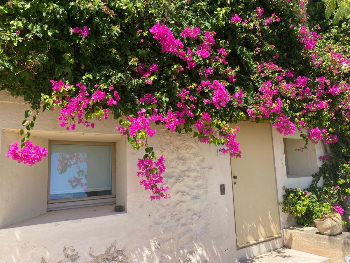 Nova Casa Com Piscina No Convento Das Bernardas Tavira Luaran gambar